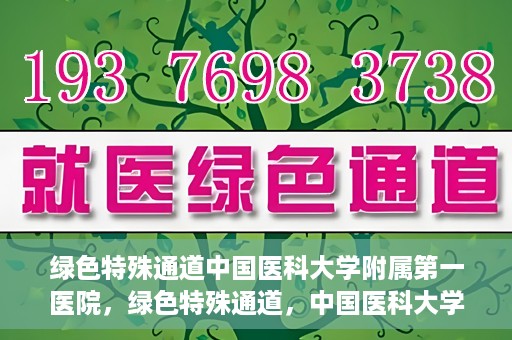 绿色特殊通道中国医科大学附属第一医院，绿色特殊通道，中国医科大学附属第一医院探索前行