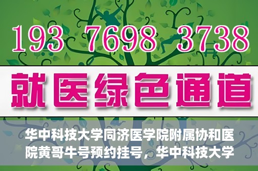 华中科技大学同济医学院附属协和医院黄哥牛号预约挂号，华中科技大学同济医学院附属协和医院黄哥牛号预约挂号攻略解析