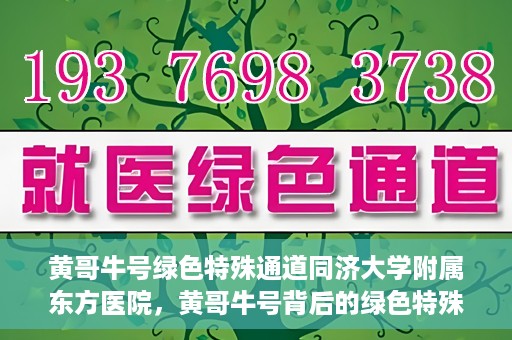 黄哥牛号绿色特殊通道同济大学附属东方医院，黄哥牛号背后的绿色特殊通道，同济大学附属东方医院的探索与实践