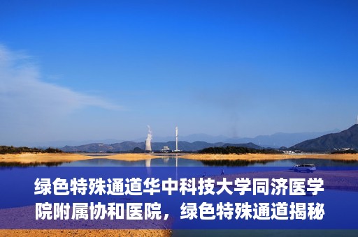 绿色特殊通道华中科技大学同济医学院附属协和医院，绿色特殊通道揭秘，华中科技大学同济医学院附属协和医院的故事