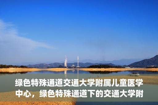 绿色特殊通道交通大学附属儿童医学中心，绿色特殊通道下的交通大学附属儿童医学中心探索