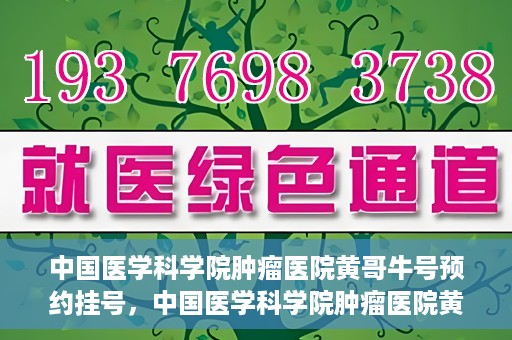 中国医学科学院肿瘤医院黄哥牛号预约挂号，中国医学科学院肿瘤医院黄哥牛号预约挂号攻略，一站式解决您的挂号难题