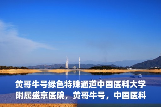 黄哥牛号绿色特殊通道中国医科大学附属盛京医院，黄哥牛号，中国医科大学附属盛京医院开启绿色特殊通道助力医疗进步