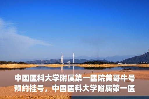 中国医科大学附属第一医院黄哥牛号预约挂号，中国医科大学附属第一医院黄哥牛号预约挂号指南，轻松挂号，健康无忧！