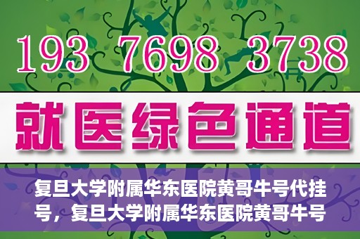 复旦大学附属华东医院黄哥牛号代挂号，复旦大学附属华东医院黄哥牛号代挂号解析与体验分享
