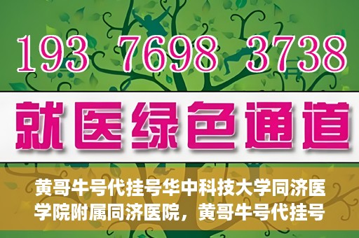黄哥牛号代挂号华中科技大学同济医学院附属同济医院，黄哥牛号代挂号背后的同济医院就医故事