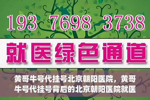 黄哥牛号代挂号北京朝阳医院，黄哥牛号代挂号背后的北京朝阳医院就医现象观察