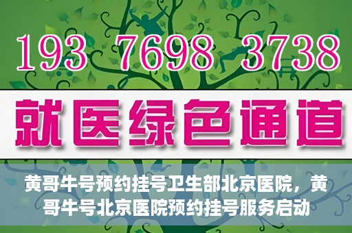 黄哥牛号预约挂号卫生部北京医院，黄哥牛号北京医院预约挂号服务启动