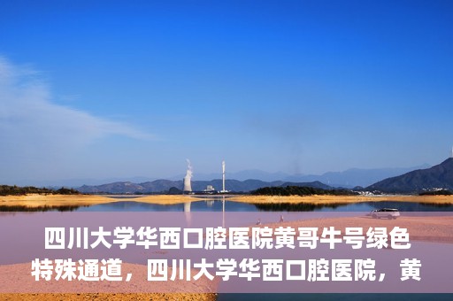 四川大学华西口腔医院黄哥牛号绿色特殊通道，四川大学华西口腔医院，黄哥牛号绿色特殊通道揭秘