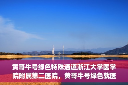 黄哥牛号绿色特殊通道浙江大学医学院附属第二医院，黄哥牛号绿色就医通道，浙江大学医学院附属第二医院的探索与实践