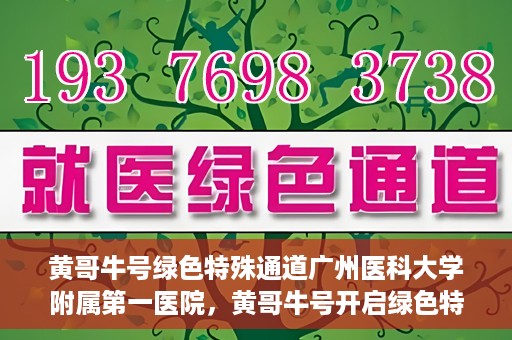 黄哥牛号绿色特殊通道广州医科大学附属第一医院，黄哥牛号开启绿色特殊通道，广州医科大学附属第一医院创新医疗体验