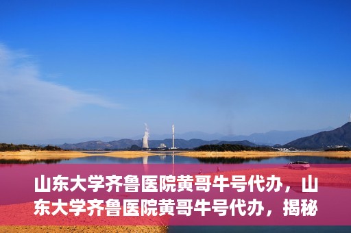 山东大学齐鲁医院黄哥牛号代办，山东大学齐鲁医院黄哥牛号代办，揭秘背后的故事与真相