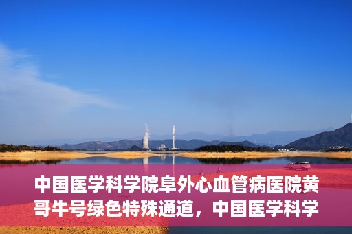 中国医学科学院阜外心血管病医院黄哥牛号绿色特殊通道，中国医学科学院阜外心血管病医院黄哥牛号绿色特殊通道，守护心血管健康的快速通道