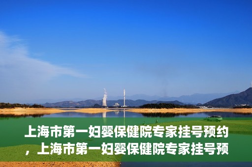 上海市第一妇婴保健院专家挂号预约，上海市第一妇婴保健院专家挂号预约攻略与指南
