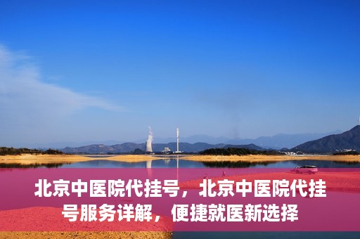 北京中医院代挂号，北京中医院代挂号服务详解，便捷就医新选择