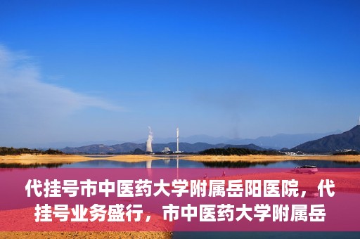 代挂号市中医药大学附属岳阳医院，代挂号业务盛行，市中医药大学附属岳阳医院如何应对挑战？