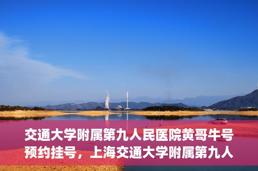 交通大学附属第九人民医院黄哥牛号预约挂号，上海交通大学附属第九人民医院黄哥名医号预约挂号攻略