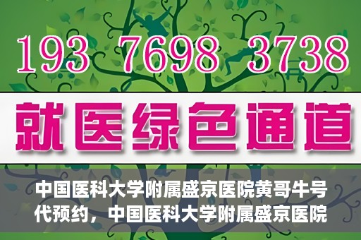 中国医科大学附属盛京医院黄哥牛号代预约，中国医科大学附属盛京医院黄哥牛号预约服务解析