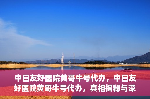 中日友好医院黄哥牛号代办，中日友好医院黄哥牛号代办，真相揭秘与深度解析