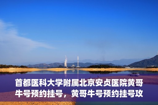 首都医科大学附属北京安贞医院黄哥牛号预约挂号，黄哥牛号预约挂号攻略，首都医科大学附属北京安贞医院就医指南
