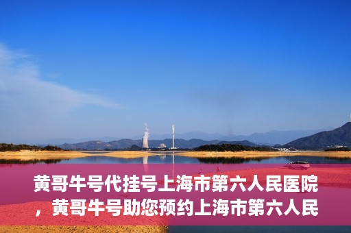 黄哥牛号代挂号上海市第六人民医院，黄哥牛号助您预约上海市第六人民医院挂号服务