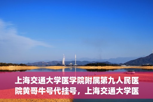 上海交通大学医学院附属第九人民医院黄哥牛号代挂号，上海交通大学医学院附属第九人民医院黄哥牛号助您轻松预约挂号