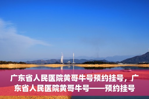 广东省人民医院黄哥牛号预约挂号，广东省人民医院黄哥牛号——预约挂号攻略
