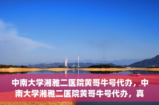 中南大学湘雅二医院黄哥牛号代办，中南大学湘雅二医院黄哥牛号代办，真相揭秘与深度解读