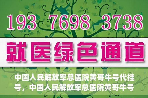 中国人民解放军总医院黄哥牛号代挂号，中国人民解放军总医院黄哥牛号代挂号解析，揭秘挂号背后的故事