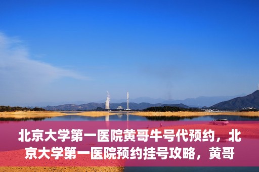 北京大学第一医院黄哥牛号代预约，北京大学第一医院预约挂号攻略，黄哥牛号预约详解