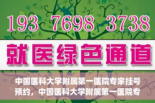 中国医科大学附属第一医院专家挂号预约，中国医科大学附属第一医院专家挂号预约攻略，一站式解决您的就医难题