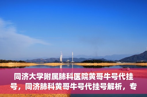 同济大学附属肺科医院黄哥牛号代挂号，同济肺科黄哥牛号代挂号解析，专业医疗服务的深度解读