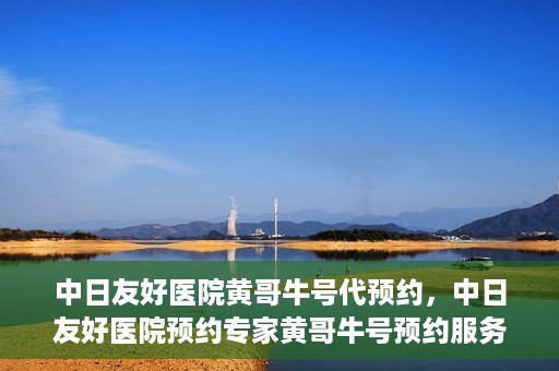中日友好医院黄哥牛号代预约，中日友好医院预约专家黄哥牛号预约服务启动