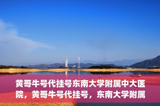 黄哥牛号代挂号东南大学附属中大医院，黄哥牛号代挂号，东南大学附属中大医院的医疗新风尚