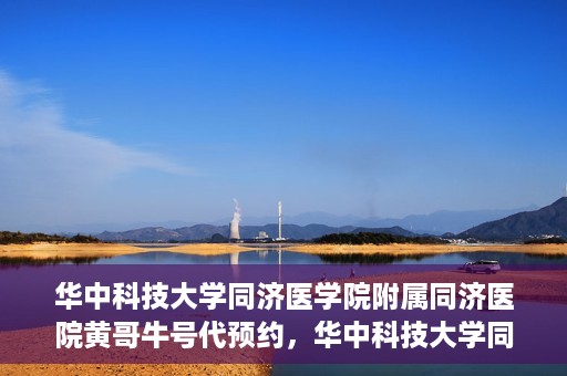 华中科技大学同济医学院附属同济医院黄哥牛号代预约，华中科技大学同济医院黄哥牛号预约服务解析