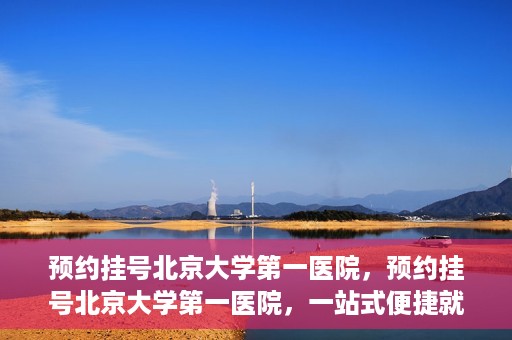预约挂号北京大学第一医院，预约挂号北京大学第一医院，一站式便捷就医服务攻略