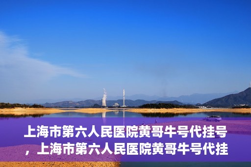上海市第六人民医院黄哥牛号代挂号，上海市第六人民医院黄哥牛号代挂号攻略揭秘