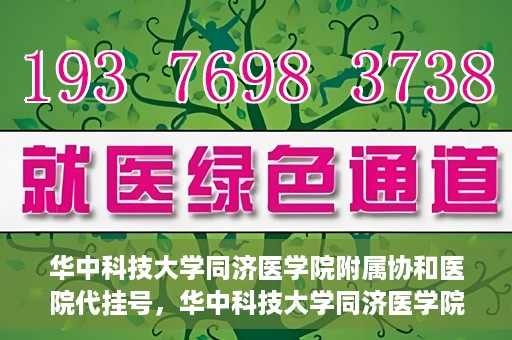 华中科技大学同济医学院附属协和医院代挂号，华中科技大学同济医学院附属协和医院代挂号服务详解