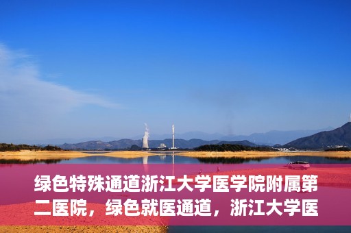 绿色特殊通道浙江大学医学院附属第二医院，绿色就医通道，浙江大学医学院附属第二医院的探索与实践