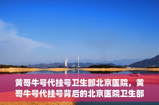 黄哥牛号代挂号卫生部北京医院，黄哥牛号代挂号背后的北京医院卫生部揭秘