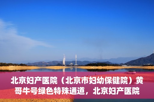 北京妇产医院（北京市妇幼保健院）黄哥牛号绿色特殊通道，北京妇产医院（北京市妇幼保健院）黄哥牛号绿色特殊通道，关爱母婴健康的新路径