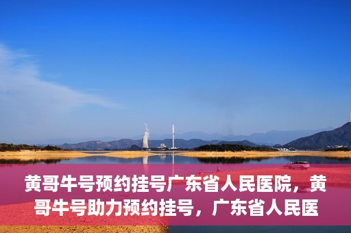 黄哥牛号预约挂号广东省人民医院，黄哥牛号助力预约挂号，广东省人民医院便捷就医新体验