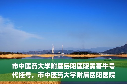 市中医药大学附属岳阳医院黄哥牛号代挂号，市中医药大学附属岳阳医院黄哥牛号代挂号服务解析
