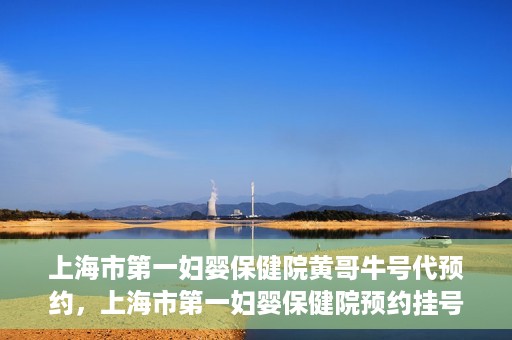 上海市第一妇婴保健院黄哥牛号代预约，上海市第一妇婴保健院预约挂号服务升级，黄哥牛号预约更便捷