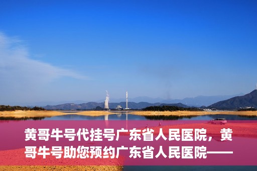 黄哥牛号代挂号广东省人民医院，黄哥牛号助您预约广东省人民医院——便捷代挂号服务