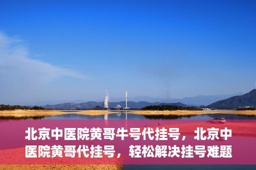 北京中医院黄哥牛号代挂号，北京中医院黄哥代挂号，轻松解决挂号难题