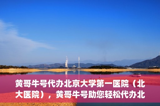 黄哥牛号代办北京大学第一医院（北大医院），黄哥牛号助您轻松代办北大医院事务，一站式服务开启就医新篇章
