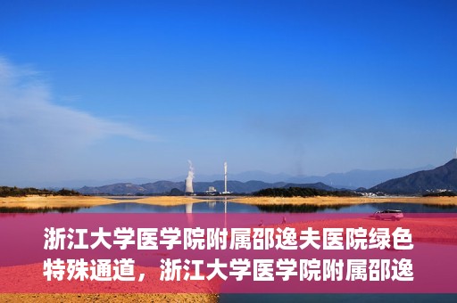 浙江大学医学院附属邵逸夫医院绿色特殊通道，浙江大学医学院附属邵逸夫医院绿色特殊通道，高效医疗服务的创新实践