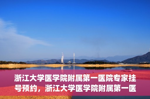 浙江大学医学院附属第一医院专家挂号预约，浙江大学医学院附属第一医院专家挂号预约攻略揭秘