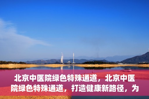 北京中医院绿色特殊通道，北京中医院绿色特殊通道，打造健康新路径，为患者解忧解困